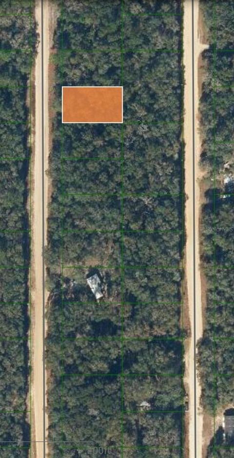 LOT 7 NEILSEN AVENUE INTERLACHEN FL 32148