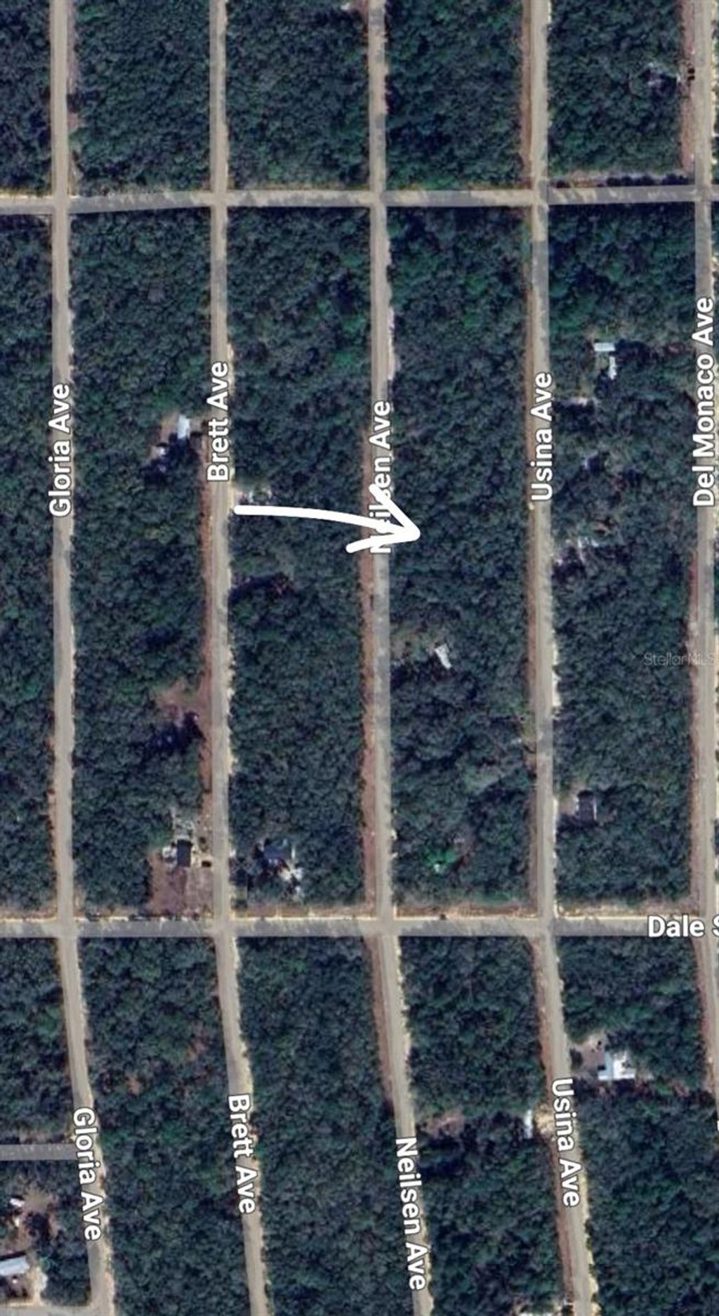 Photo of 7 Neilsen Avenue, Interlachen, FL 32148 (MLS # OM710451)