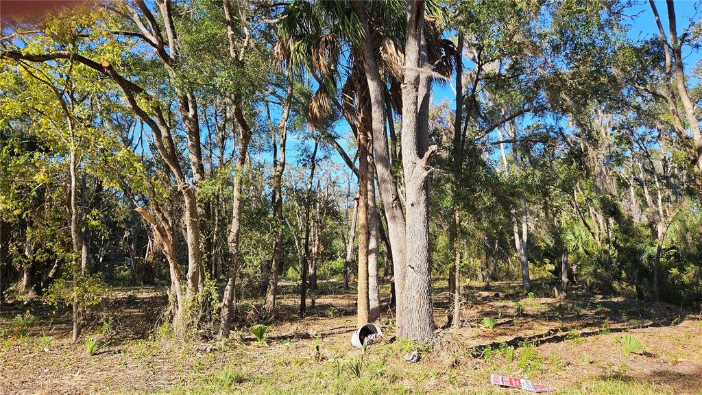 Photo of 8117 W Catrina Lane, Crystal River, FL 34428 (MLS # OM713083)