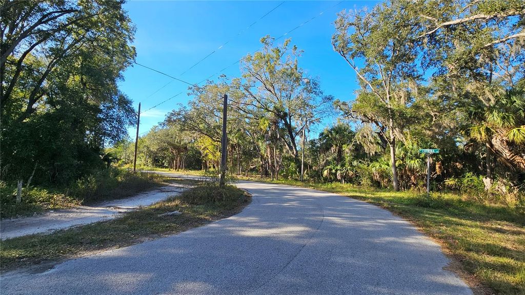 Photo of 8117 W Catrina Lane, Crystal River, FL 34428 (MLS # OM713083)