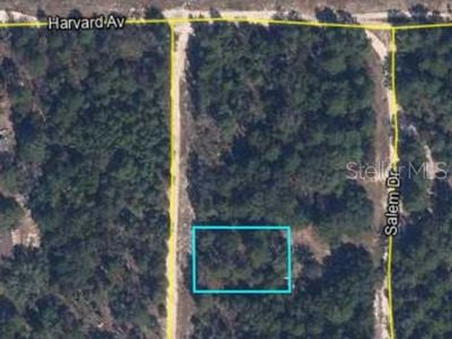 Ready to carve your own canvas? This .34 acre lot in offers the freedom to build or place a manufactured home in a peaceful, small-town setting. An ideal opportunity for homeowners or investors alike.
