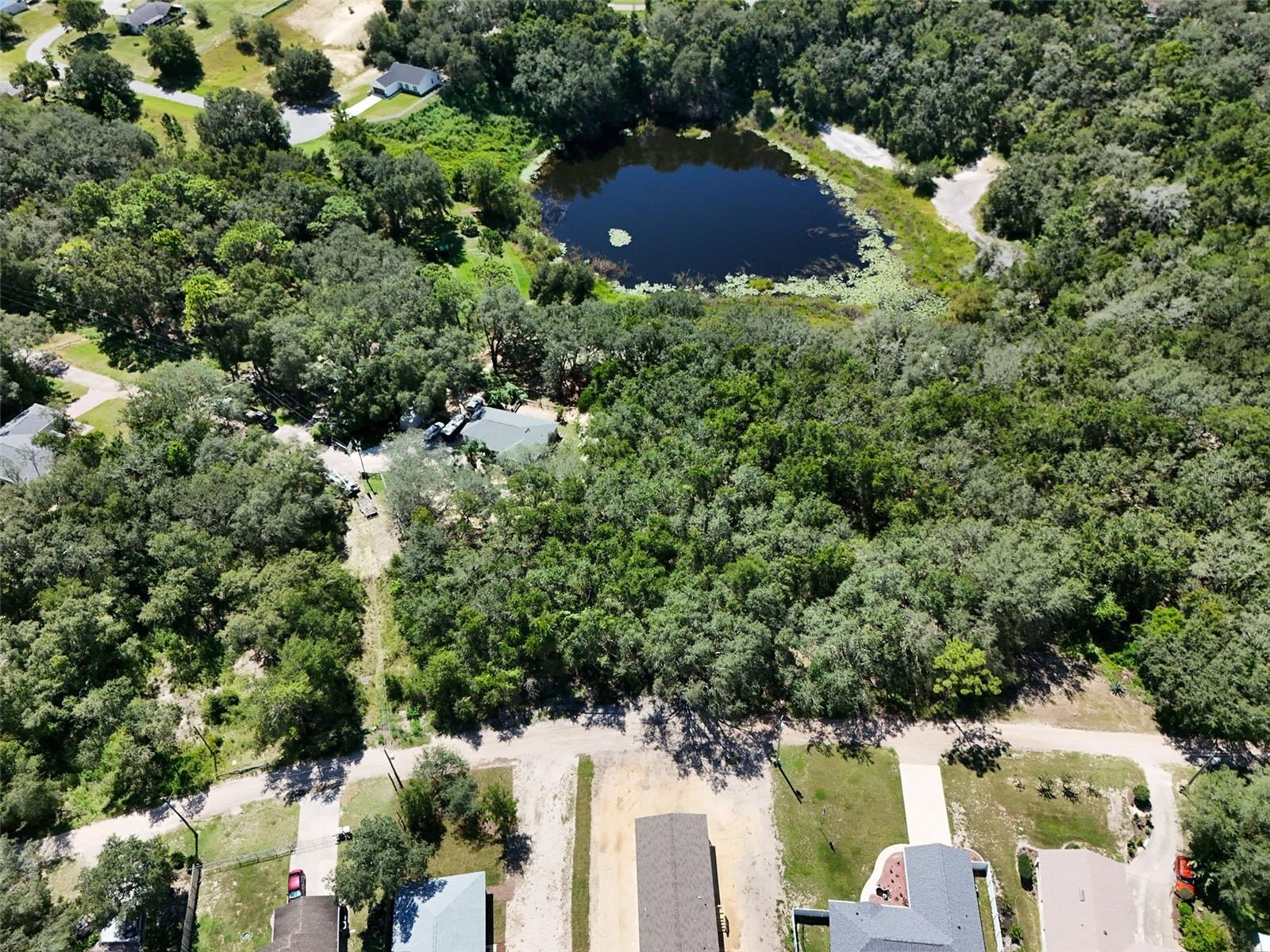 Great opportunity to own a piece of land in Lady lake.