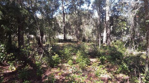 Lot 33 SW NEPTUNE BOULEVARD DUNNELLON FL 34431