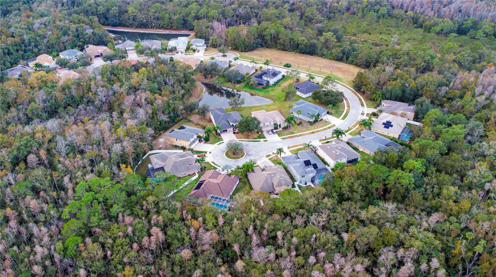 TAMPA PALMS - Residential