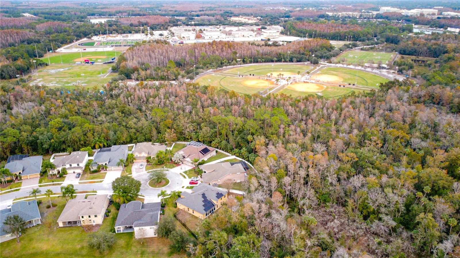 TAMPA PALMS - Residential