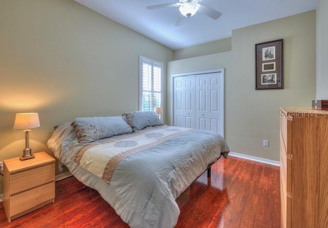 TAMPA PALMS - Residential