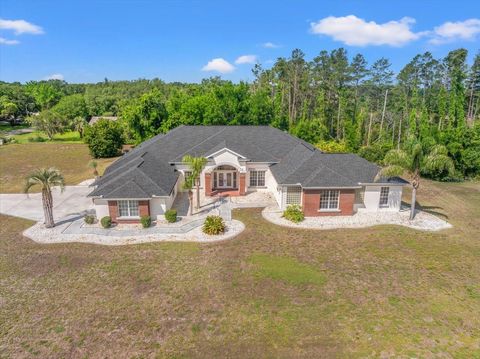 11137 WOODLAND WATERS BOULEVARD WEEKI WACHEE FL 34613