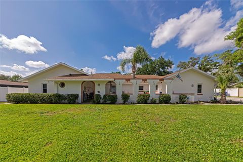 Photo of 1403 Viola Drive, Brandon, FL 33511 (MLS # A4689696)
