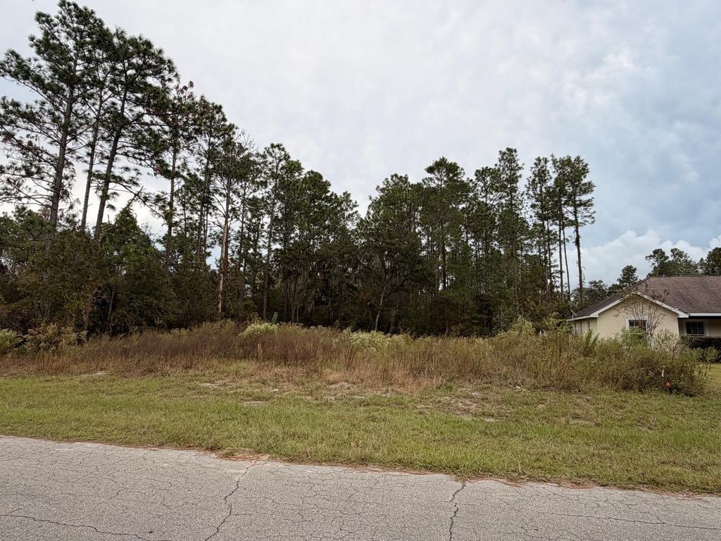 Photo of 7766 SW 139th Street Road, Ocala, FL 34473 (MLS # O6359538)