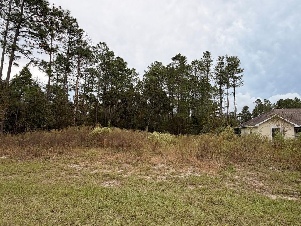 Photo of 7766 SW 139th Street Road, Ocala, FL 34473 (MLS # O6359538)