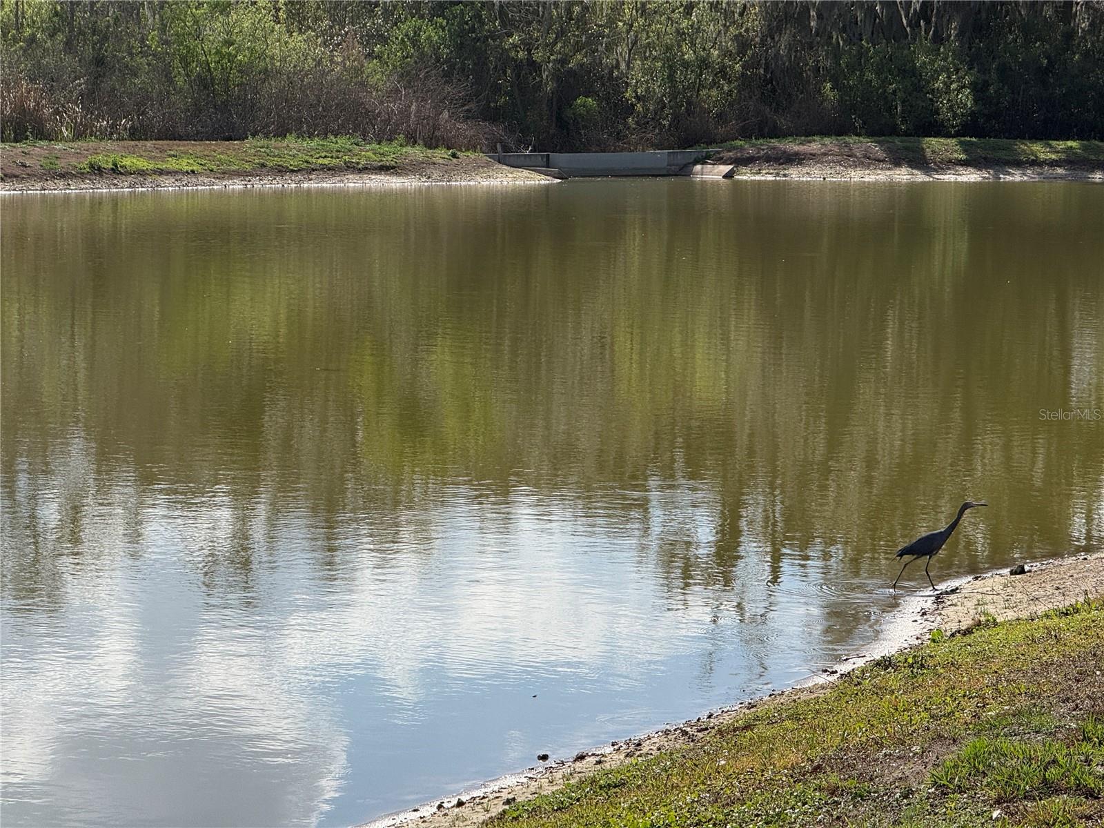 RIVERSTONE PH 1 - Residential