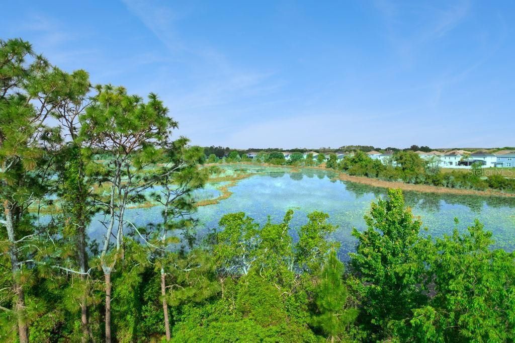 Photo of 3880 Fescue Street, Clermont, FL 34714 (MLS # O6394835)