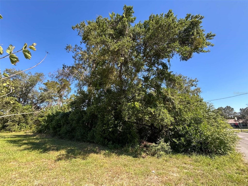 Photo of 12299 Ronald Street, Spring Hill, FL 34609 (MLS # O6453174)
