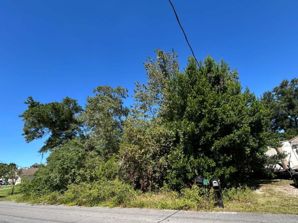 Photo of 12299 Ronald Street, Spring Hill, FL 34609 (MLS # O6453174)