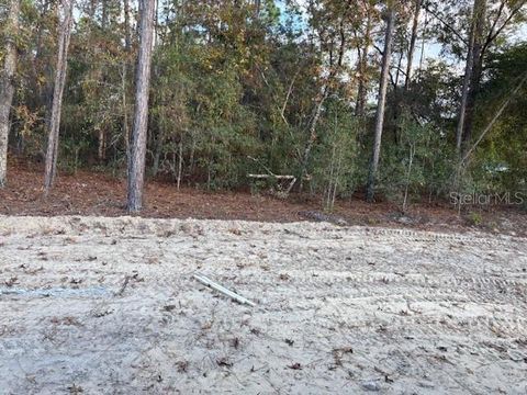 Tiny photo for 8669 SW 138th Terrace, Dunnellon, FL 34432 (MLS # OM714341)