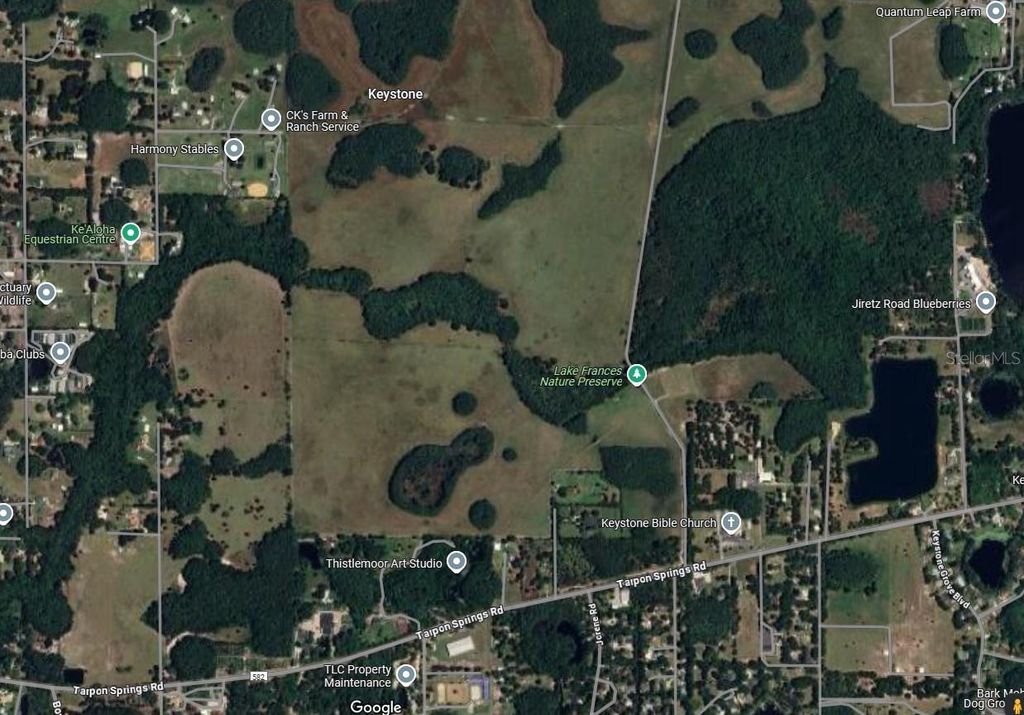 Photo of 11111 Burrell Road, Odessa, FL 33556 (MLS # TB8385001)