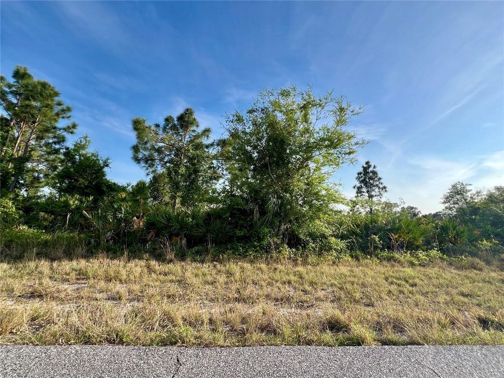 Photo of 12069 Abrams Avenue, Port Charlotte, FL 33981 (MLS # C7485886)