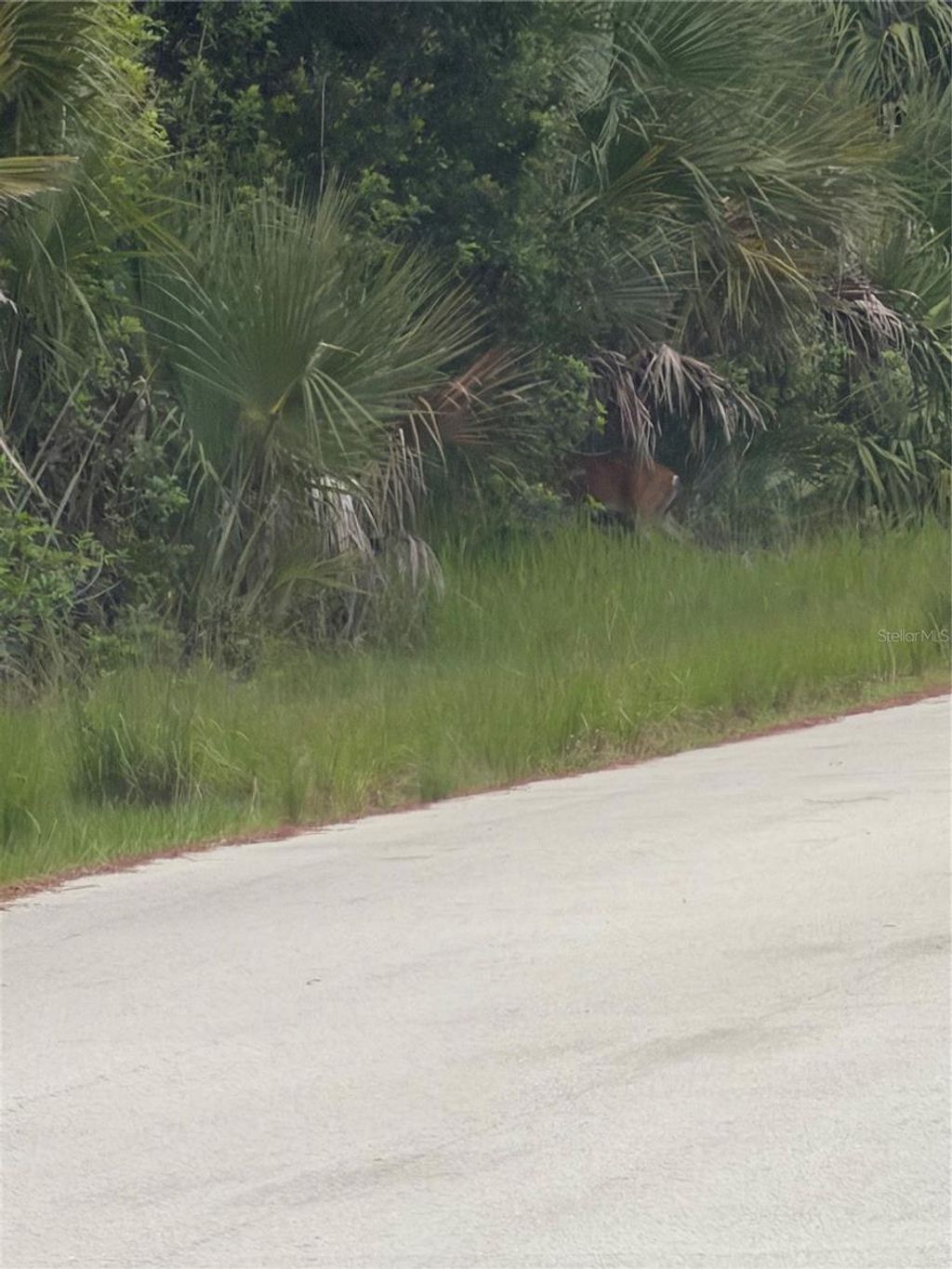 Photo of Tbd SW 129th Loop, Ocala, FL 34473 (MLS # O6418798)