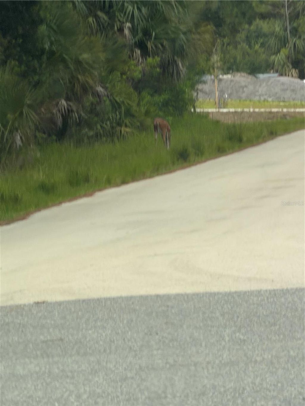 Photo of Tbd SW 129th Loop, Ocala, FL 34473 (MLS # O6418798)
