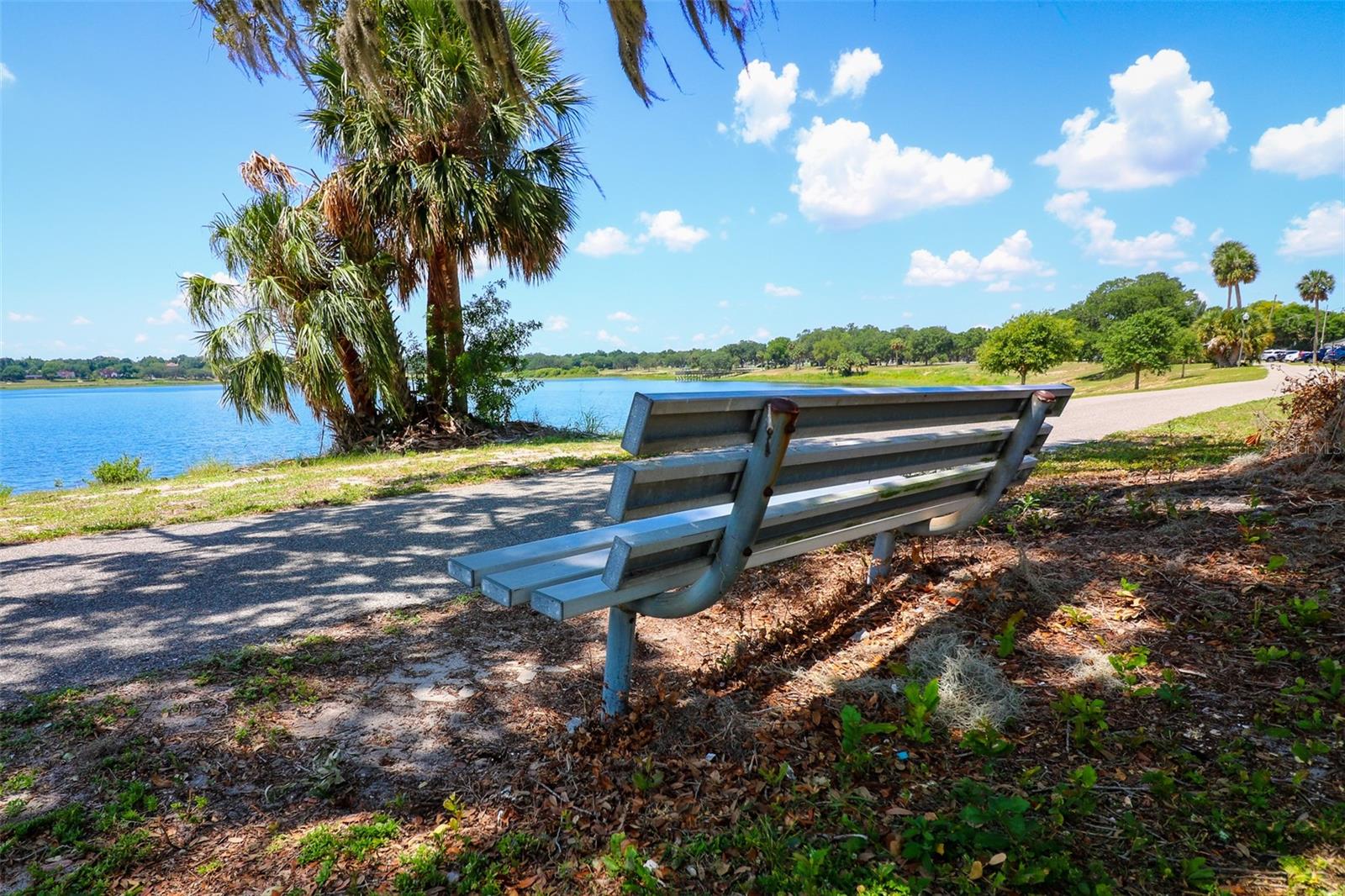 NORTH LAKESHORE CONDO - Residential