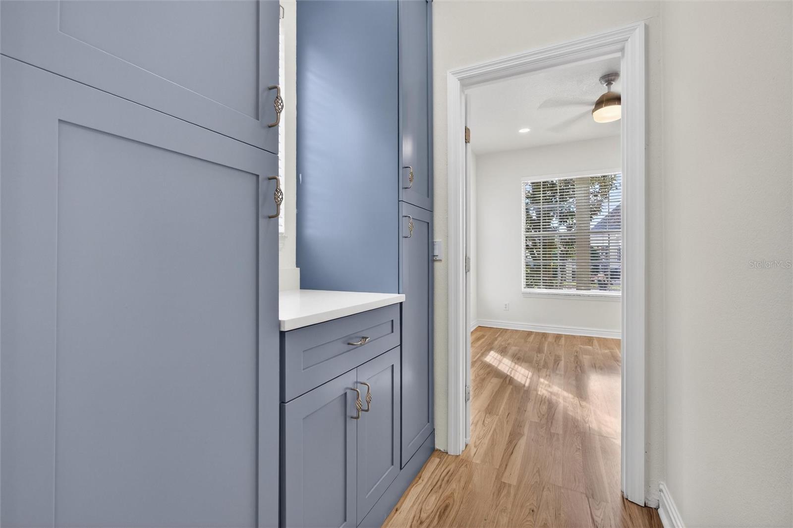 CELEBRATION AREA 5 - Residential