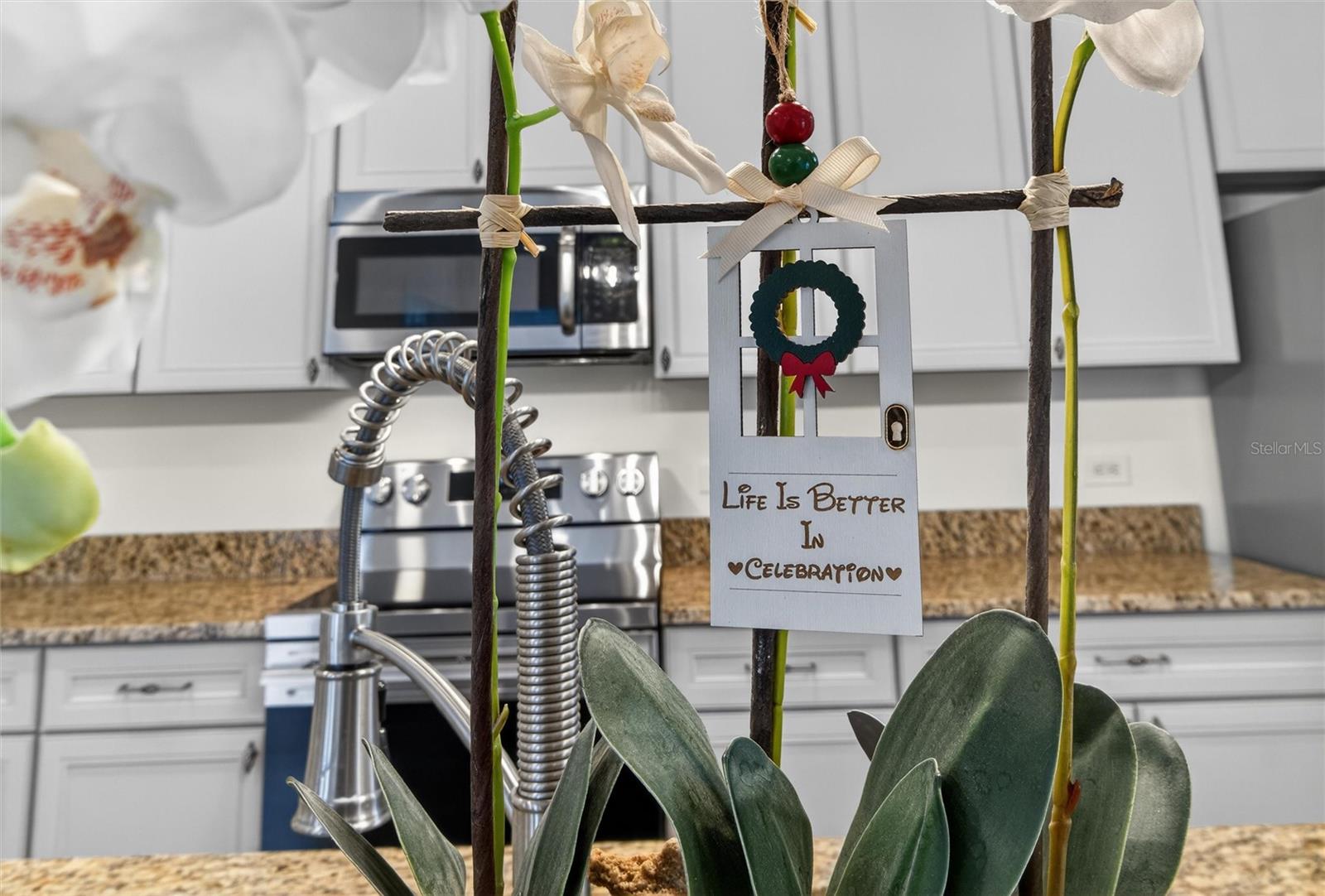 CELEBRATION AREA 5 - Residential