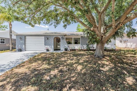 6333 ABERDEEN AVENUE NEW PORT RICHEY FL 34653