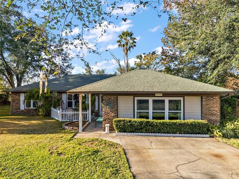 A home in MOUNT DORA