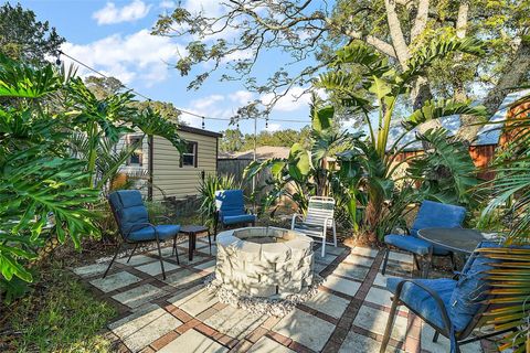 A home in MOUNT DORA