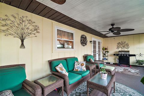 A home in MOUNT DORA