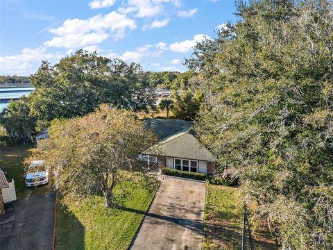 A home in MOUNT DORA