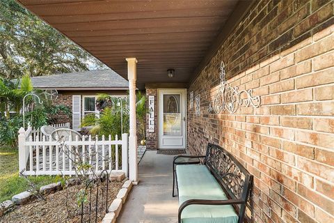 A home in MOUNT DORA