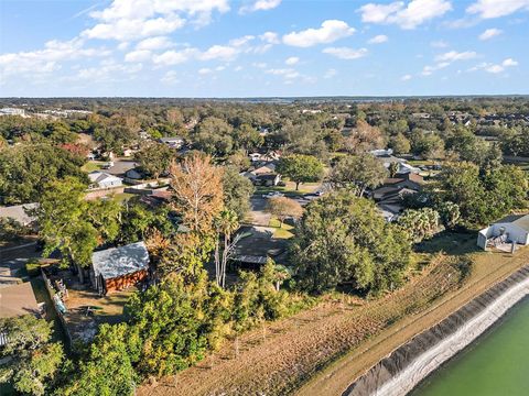 A home in MOUNT DORA