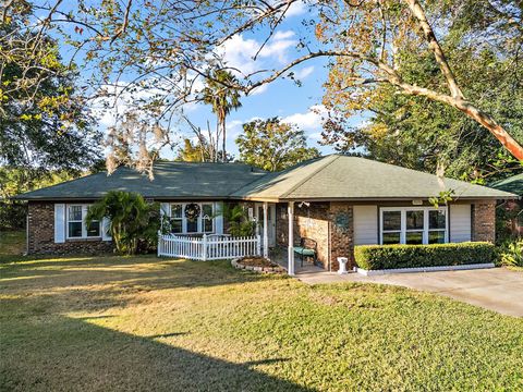 A home in MOUNT DORA