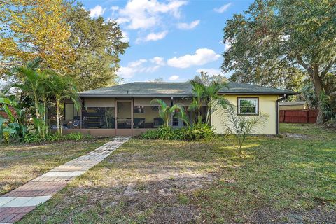 A home in MOUNT DORA