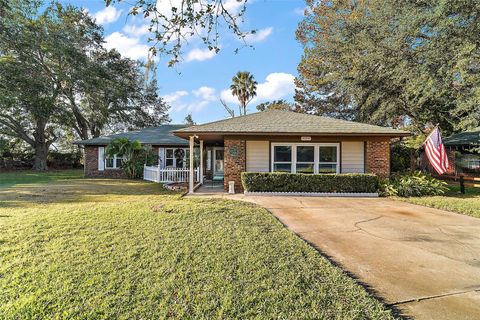 A home in MOUNT DORA