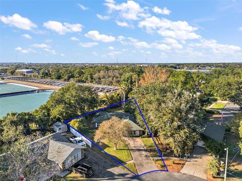 A home in MOUNT DORA