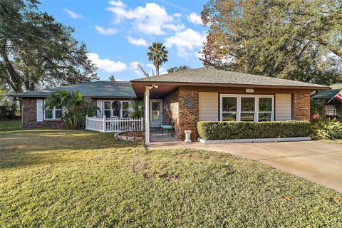 A home in MOUNT DORA