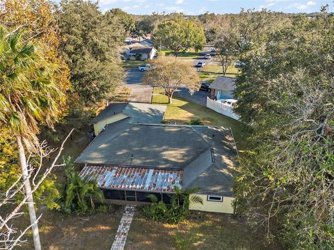 A home in MOUNT DORA