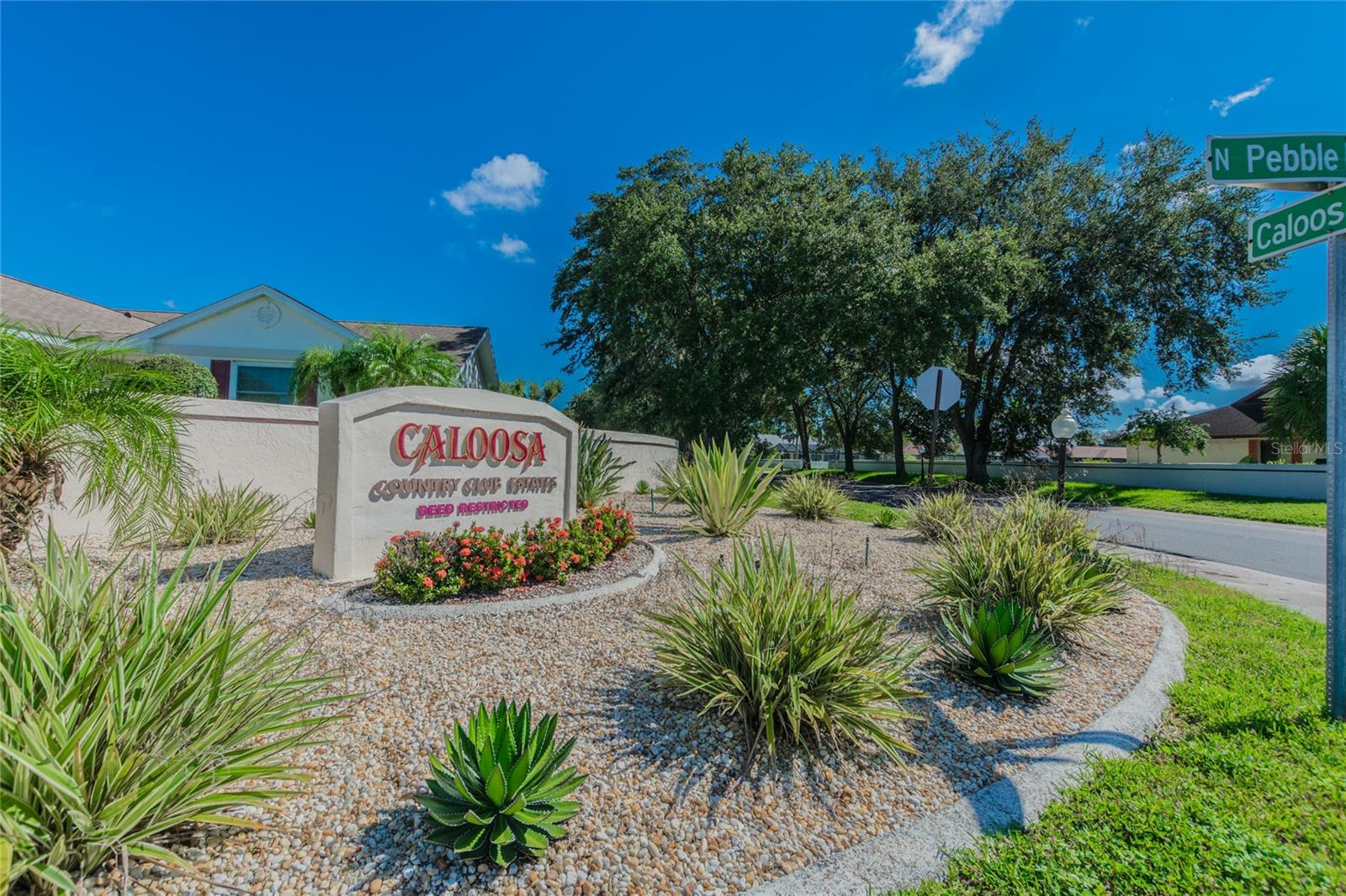 DEL WEBBS SUN CITY FLORIDA - Residential