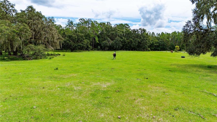 Escape to the quiet beauty of rural Dade City with this 5-acre parcel tucked away in the Lacoochee area. Bordering the Green Swamp, this property offers direct access to endless outdoor recreation: riding trails, hunting, and nature at its best. The land is green-belted, creating valuable tax savings, and features a picturesque setting with wide open space, stately old oak trees, and plenty of privacy. Currently used for cattle and horses, it’s perfectly suited for agricultural use, equestrian enthusiasts, or building your dream country retreat. For those seeking more space, an additional adjacent 5-acre parcel may also be available.