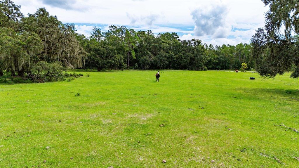 Photo of Pinkston Road, Dade City, FL 33523 (MLS # TB8431012)