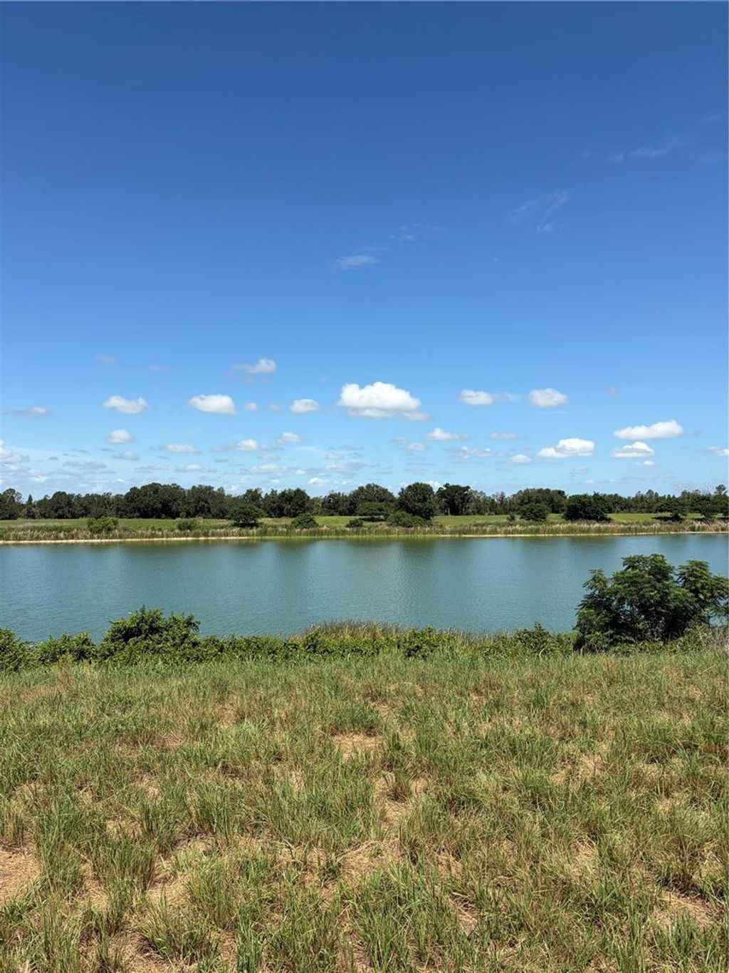 Photo of 10349 County Road 555, Fort Meade, FL 33841 (MLS # P4939286)