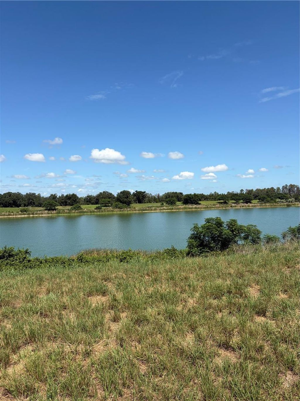 Photo of 10349 County Road 555, Fort Meade, FL 33841 (MLS # P4939286)