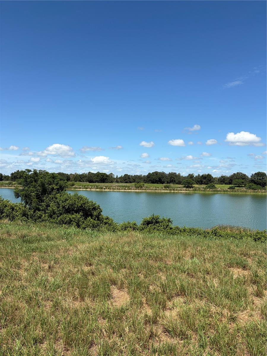 10349 COUNTY ROAD 555