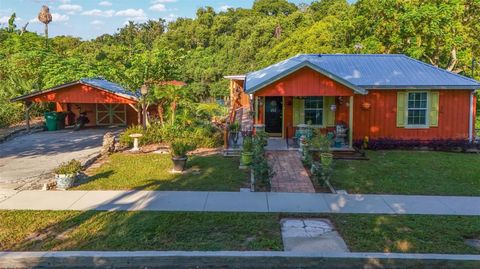 A home in MOUNT DORA