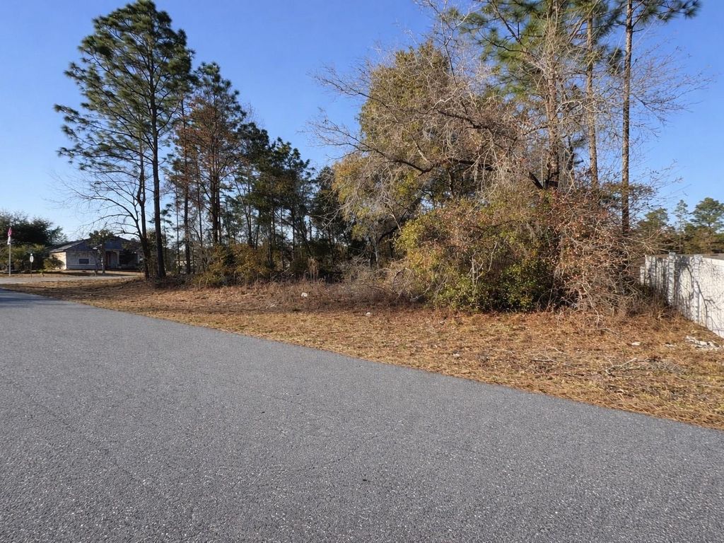 Photo of 77th Circle, Ocala, FL 34473 (MLS # O6383424)