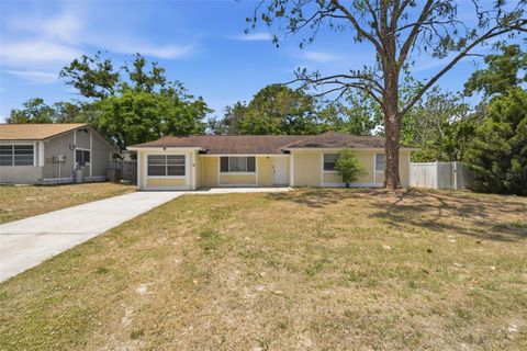 Photo of 8412 Renald Boulevard, Tampa, FL 33637 (MLS # O6408960)