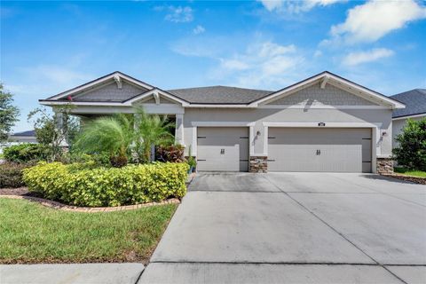 13012 RAIN LILY DRIVE RIVERVIEW FL 33579