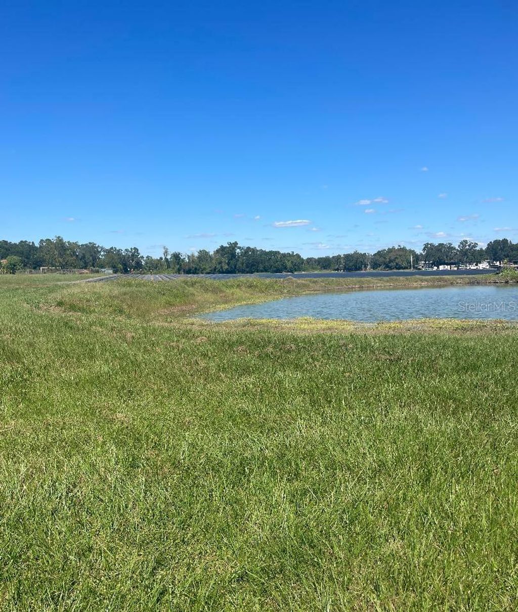 Photo of Sydney Road, Dover, FL 33527 (MLS # W7879918)
